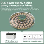 52 Eggs Incubator with Auto Turn, Humidity & Temp Display, Dual Power